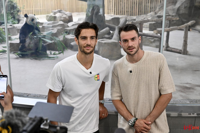 对德国取胜 对德国取胜